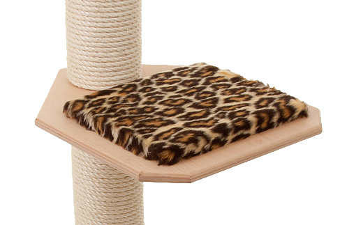 Holzfarbe: Natur - Auflage: Leopard