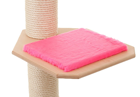 Holzfarbe: Natur - Auflage: Pink
