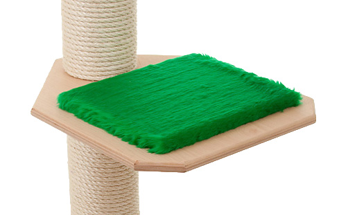 Holzfarbe: Natur - Auflage: Tannengrün