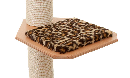 Holzfarbe: Buche - Auflage: Leopard