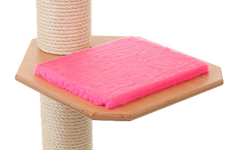 Holzfarbe: Buche - Auflage: Pink