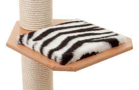 Holzfarbe: Buche - Auflage: Zebra